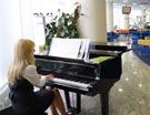 Интерьер для полиграфии - VIP-персоны ожидают отлета под звуки рояля. Аэропорт Борисполь