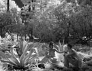 Невидимая сказка. Инфракрасная свадебная фотография - Есть в усадьбе Пирогова такие чудовищные растения, на фоне которых невеста всегда выглядит нежной и хрупкой.